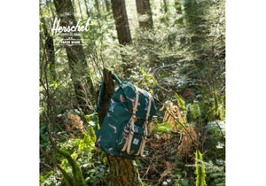 Birds Of Herschel - Collection