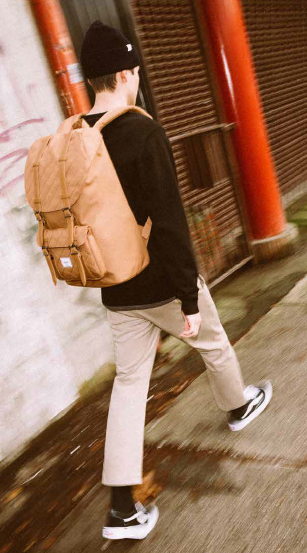 Herschel Quilted Line