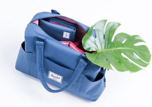 Herschel strand sprout on sale